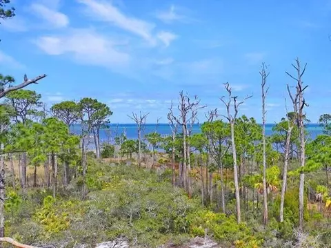 6214 Cape San Blas Rd, Cape San Blas, FL 32456