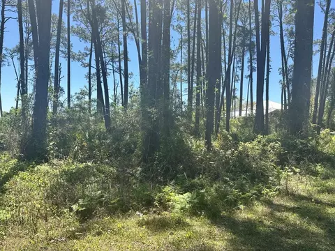 2790 Highway 98, Carrabelle, FL 32322