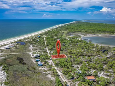 369 Lubbers Ln, Carrabelle, FL 32322 photo 3