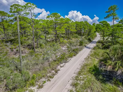 369 Lubbers Ln, Carrabelle, FL 32322 photo 9