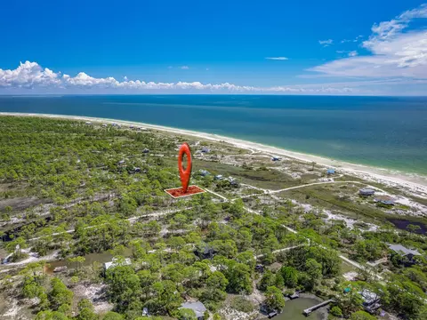 369 Lubbers Ln, Carrabelle, FL 32322 photo 5
