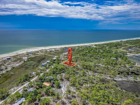 369 Lubbers Ln, Carrabelle, FL 32322 photo 4