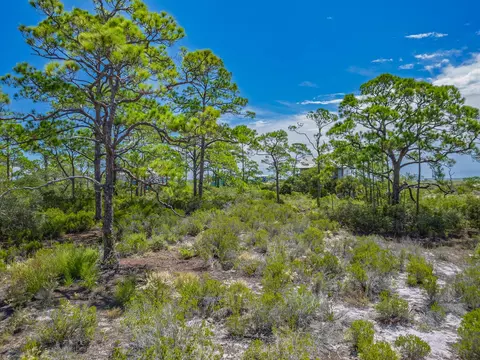 369 Lubbers Ln, Carrabelle, FL 32322 photo 11