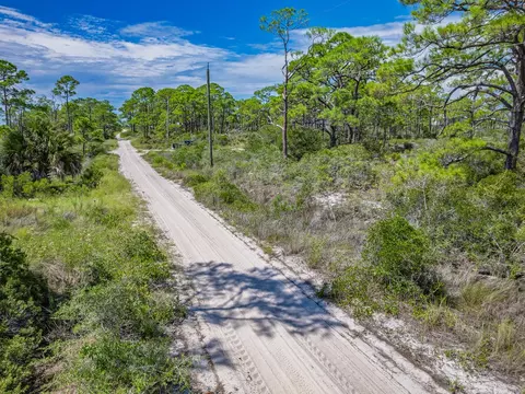 369 Lubbers Ln, Carrabelle, FL 32322 photo 10