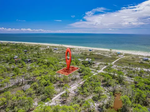 369 Lubbers Ln, Carrabelle, FL 32322 photo 6