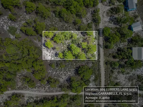 369 Lubbers Ln, Carrabelle, FL 32322 photo 12