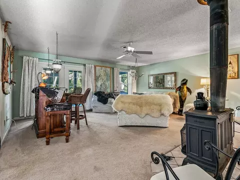 Living - 155 Putnal St, Carrabelle, FL 32322 photo 3 of 6