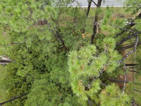 3033 Hwy 98 E, Lanark Village, FL 32322 photo 6