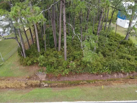 3033 Hwy 98 E, Lanark Village, FL 32322 photo 4