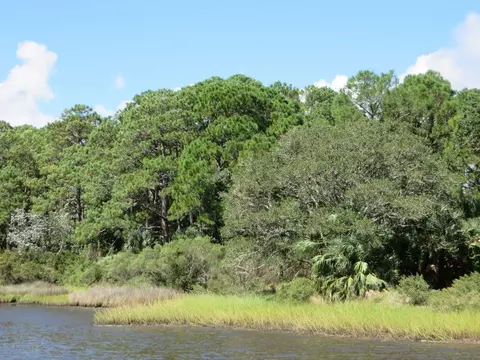 2600 Hwy 98 E, Carrabelle, FL 32322 photo 6