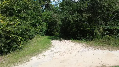 388 N Bass Dr, Wewahitchka, FL 32465