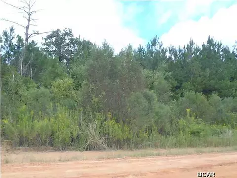 tbd Tbd Roland Rd, Chipley, FL 32428 photo 4