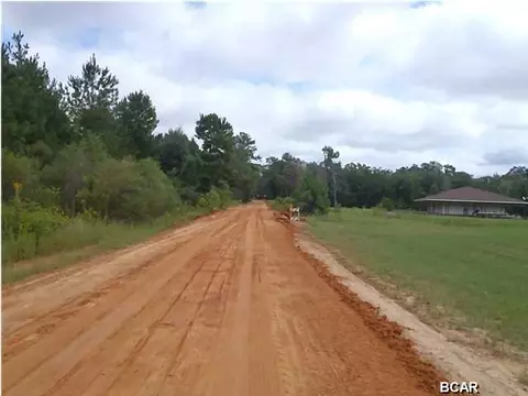 tbd Tbd Roland Rd, Chipley, FL 32428 photo 2