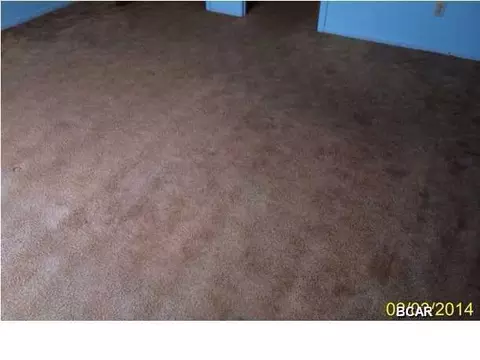 366 Sunset Trl, Freeport, FL 32439 photo 18