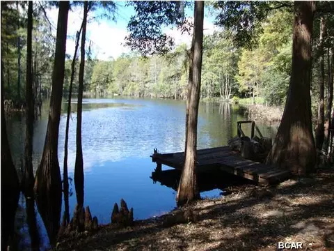 2649 Country Rd, Chipley, FL 32428 photo 4