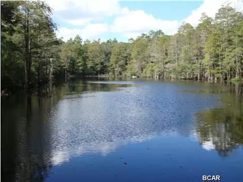 2649 Country Rd, Chipley, FL 32428 photo 3
