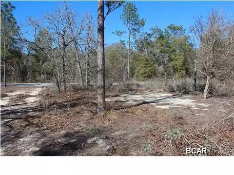 3359 Cardinal Pl, Chipley, FL 32428 photo 10