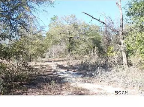 3359 Cardinal Pl, Chipley, FL 32428 photo 11