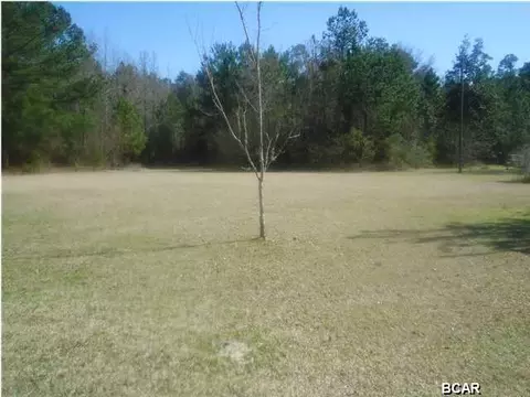 1963 Cane Mill Rd, Chipley, FL 32428 photo 3