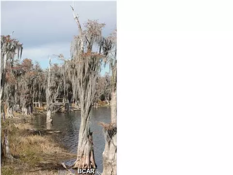 4554 Baker Rd, Altha, FL 32421 photo 21