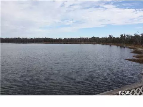 4554 Baker Rd, Altha, FL 32421 photo 18