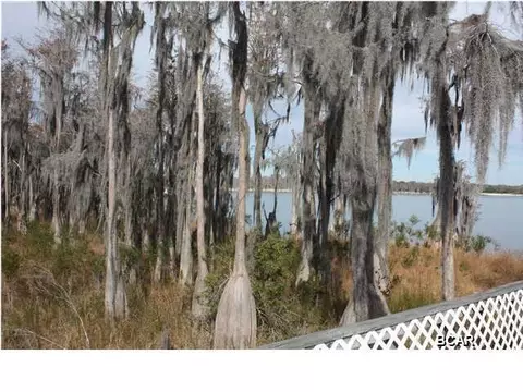 4554 Baker Rd, Altha, FL 32421 photo 20