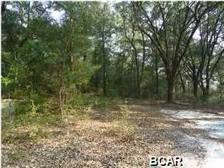 4478 Ada Dr, Chipley, FL 32428 photo 2