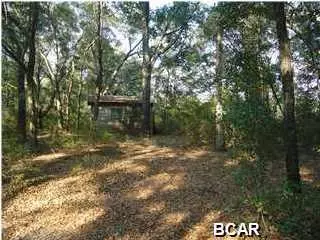 4478 Ada Dr, Chipley, FL 32428 photo 6