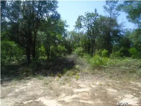 4282 Rio Dr, Chipley, FL 32428 photo 4