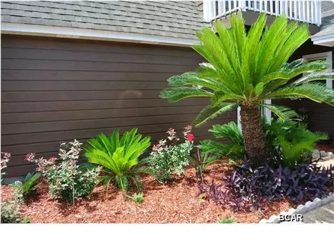 4415 Pinetree Rd, Lynn Haven, FL 32444 photo 5