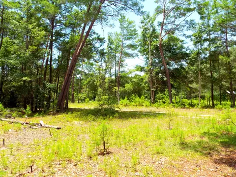 199 Earl Godwin Rd, Freeport, FL 32439 photo 23