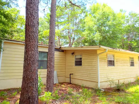199 Earl Godwin Rd, Freeport, FL 32439 photo 3