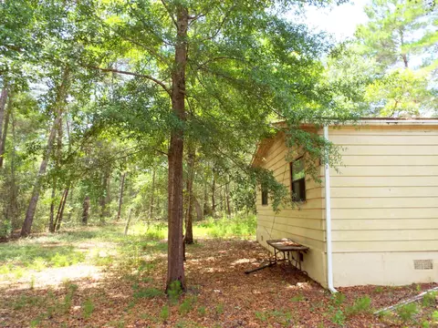 199 Earl Godwin Rd, Freeport, FL 32439 photo 2