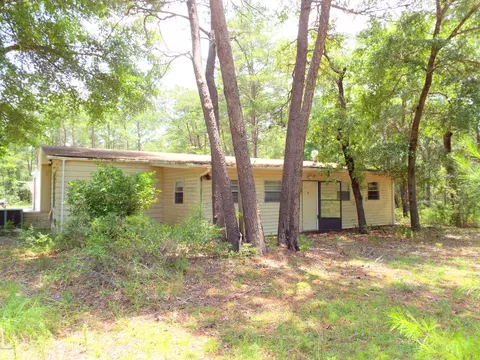 199 Earl Godwin Rd, Freeport, FL 32439 photo 1