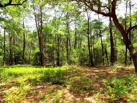 199 Earl Godwin Rd, Freeport, FL 32439 photo 22