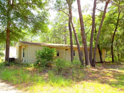 199 Earl Godwin Rd, Freeport, FL 32439 photo 5