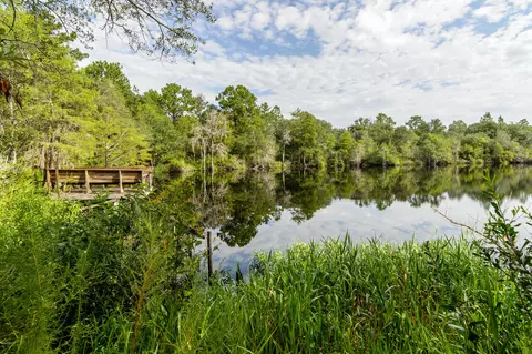 3385 Lodge Dr, Chipley, FL 32428 photo 37