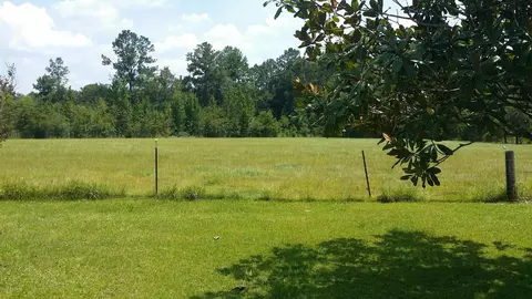 3226 77 Hwy, Chipley, FL 32428 photo 4