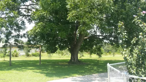 3226 77 Hwy, Chipley, FL 32428 photo 5