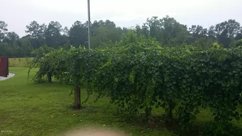 3226 77 Hwy, Chipley, FL 32428 photo 28