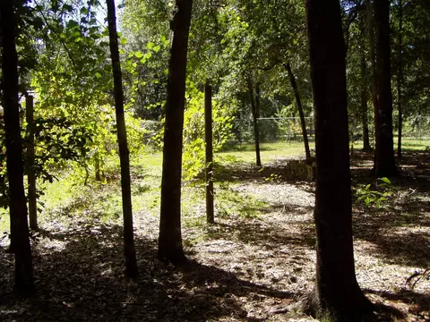 4957 Porter Pond, Chipley, FL 32428 photo 19