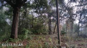 3027 NW Parrish Ave, Altha, FL 32421 photo 1