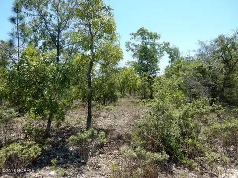 3859 Foxhunt Rd, Chipley, FL 32428 photo 1