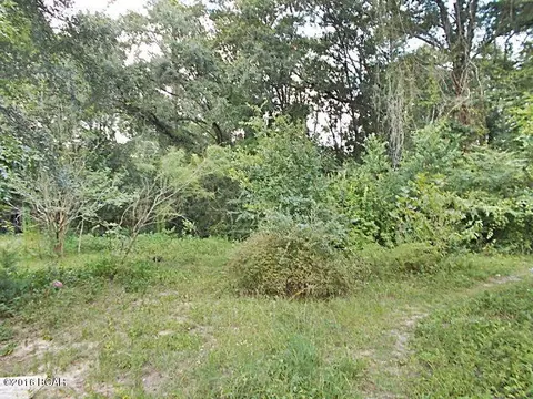 2116 Morgan Loop, Sneads, FL 32460 photo 3