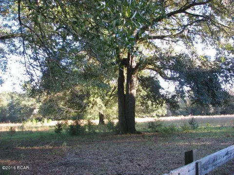 6593 Speights Way, Bascom, FL 32423 photo 10