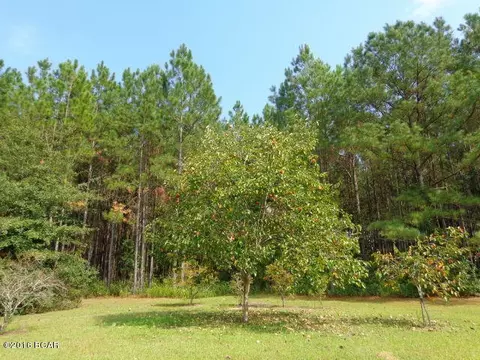 25283 N Main St, Altha, FL 32421 photo 86