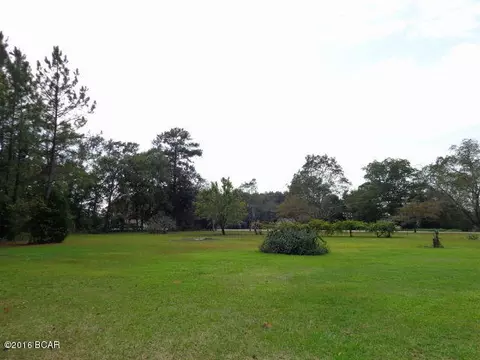 25283 N Main St, Altha, FL 32421 photo 98