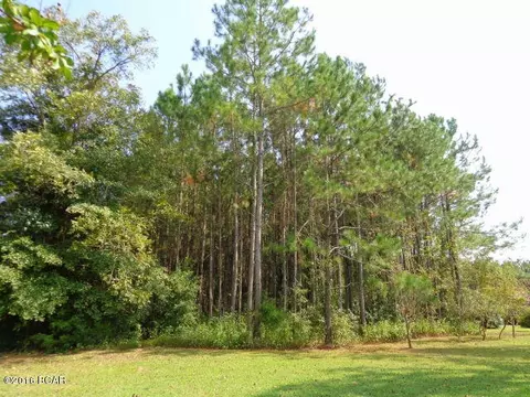 25283 N Main St, Altha, FL 32421 photo 80