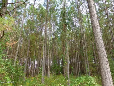 25283 N Main St, Altha, FL 32421 photo 90