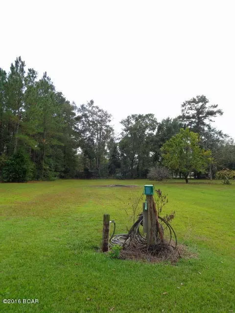 25283 N Main St, Altha, FL 32421 photo 99